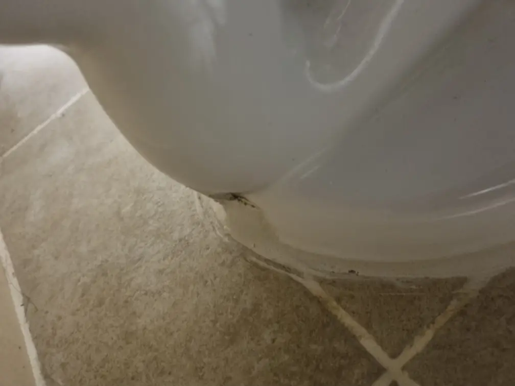 백시멘트 작업 8